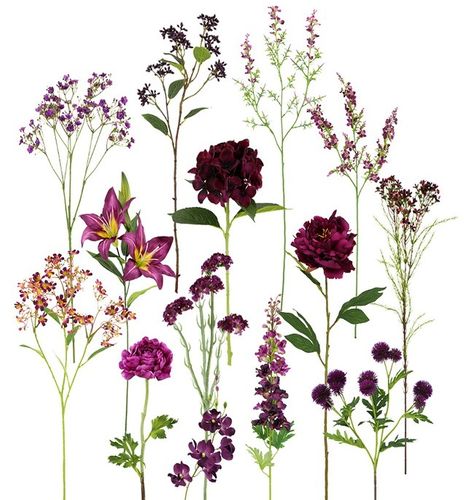 Top Quality Flowers